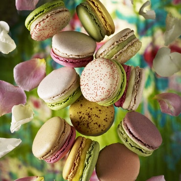 macarons